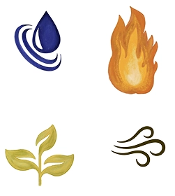 ELEMENTS AND POLARITIES